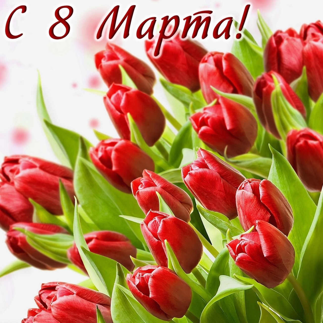С 8 марта!.